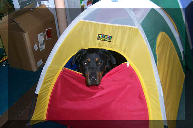 P0000388.JPG (340971 bytes)